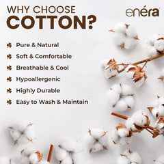 enera King Bedsheet with 2 Pillow Covers 100% Pure Cotton