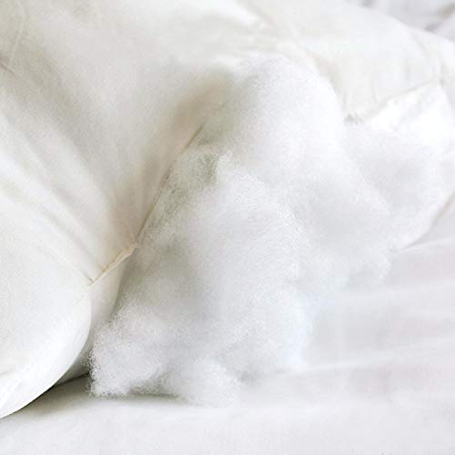 enera  - (24 x 24 Inches) Premium Polyester Fiber Cushion Fillers - Pack of 1 Pcs | White| Sofa Pillow, Sofa Cushion, Cushion Pillow, Cushions for Bed | Enera